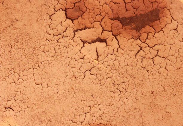 Dry cracked mud texture. Background of dried earth. Drought in Colombia.