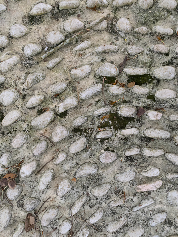 A close-up of a cobblestone path with fallen leaves.
Photo is suitable for backgrounds, wallpapers, or themes related to nature, seasons, or urban landscapes.