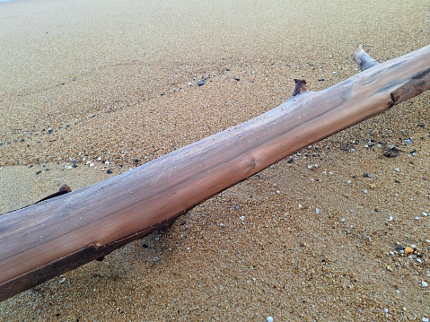 A tranquil scene on a sandy beach, featuring a single piece of smooth, weathered driftwood. The driftwood natural brown hues and textured surface stand out against the fine, pebble-strewn sand.