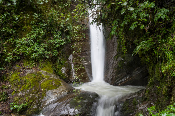 Waterfall at Papallacta area, Ecaudor Andes,Ecuador, South America - stock photo