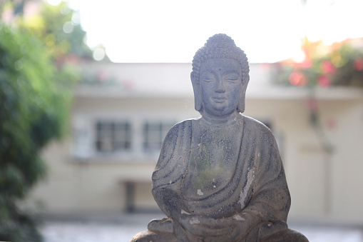 a buddha statue with candle in the green grass with zen stones in the background in a tranquil relaxing scenery