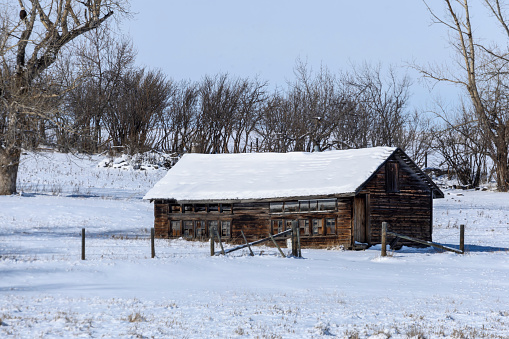 Winter rural scene of the exterior of an old abandoned and weathered wooden agricultural building.