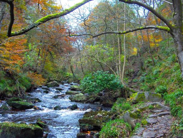 istock Hebden Beck Hardcastle Crags in Autumn I 2122561908