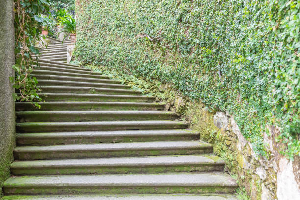 Old staircase in nature. Garden architecture design, green natural path with historic pavement
