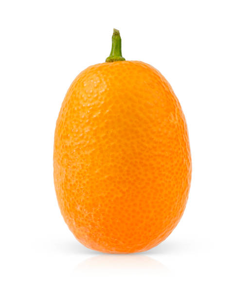istock Single kumquat fruit. 2122597328