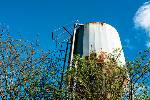 Tall farm grain silo seen in disrepair with rust. Used to store cattle grains for feeding while the cows are in the milking parlour.