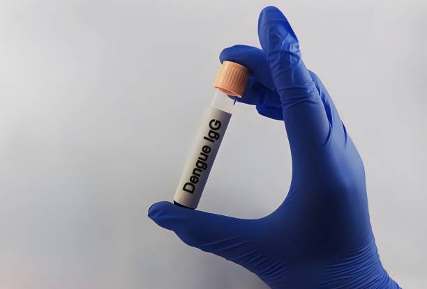 istock Test tube with blood sample for dengue IgG test. Blood samples isolated on white background for dengue IgG test. Blood sample for dengue IgG testing. 2122643986