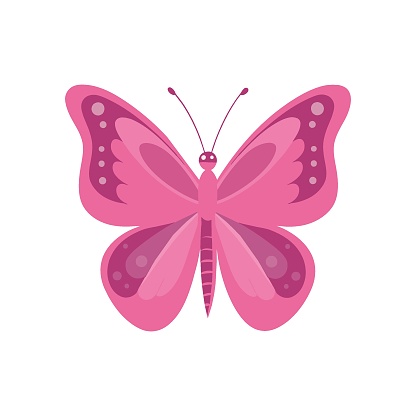 A butterfly, lady's beauty things for girls, illustration a white background. Pinkcore.