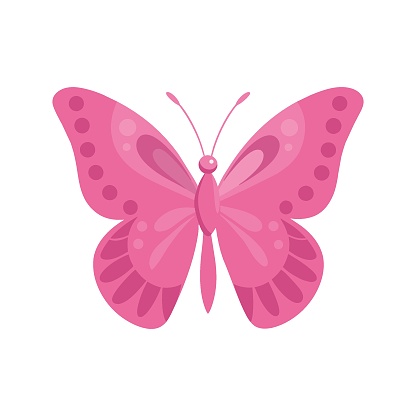 A butterfly, lady's beauty things for girls, illustration a white background. Pinkcore.