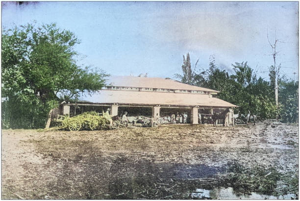 istock US Army black and white photos: Sugar House, Manila, Philippines 2122695158