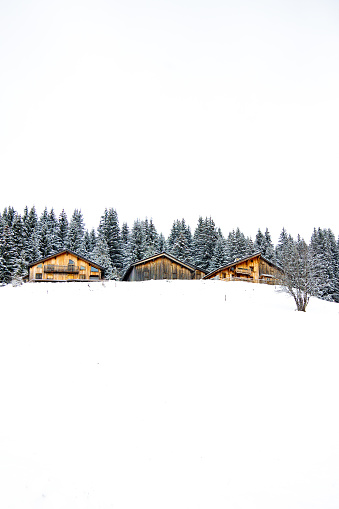 Winter vacations in the heart of the Portes du Soleil in France, on the ski resort of Morzine Avoriaz