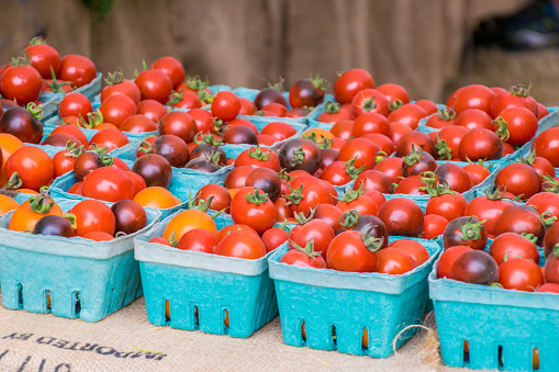 Boxes of cherry tomatoes at local farmers market