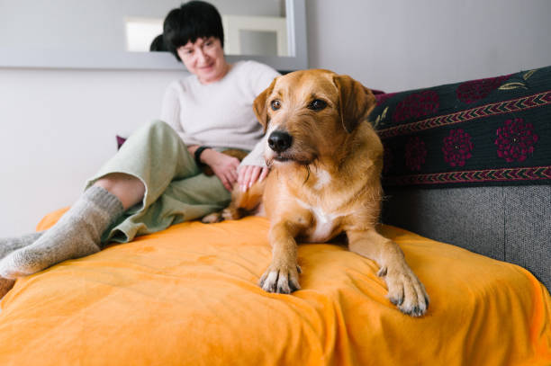 istock pet sitting at home 2122790151