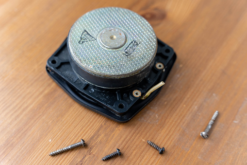 disassembled speaker showing its components, including a circuit board and wires. The intricate details showcase the inner workings of the electronic device.
