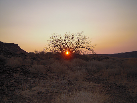 Namibian desert at sunset, Africa