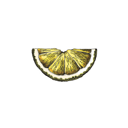 Lemon zest. A graphically accurate watercolor illustration of a lemon slice set on an isolated background, ideal for health and vegetarianism visuals.