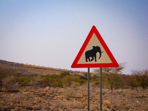 Road sign with the elephant danger in Namibia