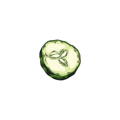 Half a cucumber with seed details and textured shading, rendered in a lifelike style. A versatile vector illustration for food-related designs.