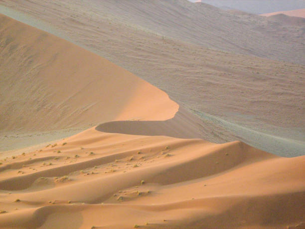 istock Sand dunes, Namibian Desert 2122836827