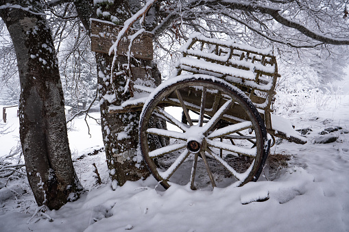 Vintage wooden carriage under snow in forest, High quality photo