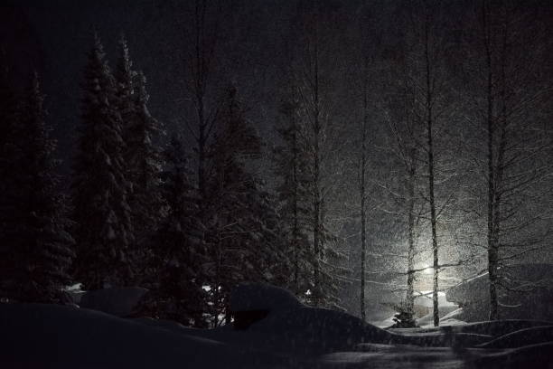 istock Snow-covered illumination in the night taiga 2122866369