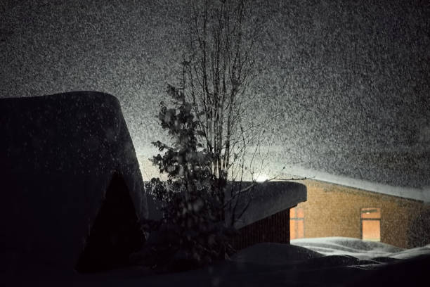 istock Snow-covered illumination in the night taiga 2122866371