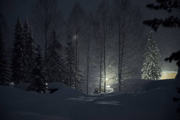 istock Snow-covered illumination in the night taiga 2122866883