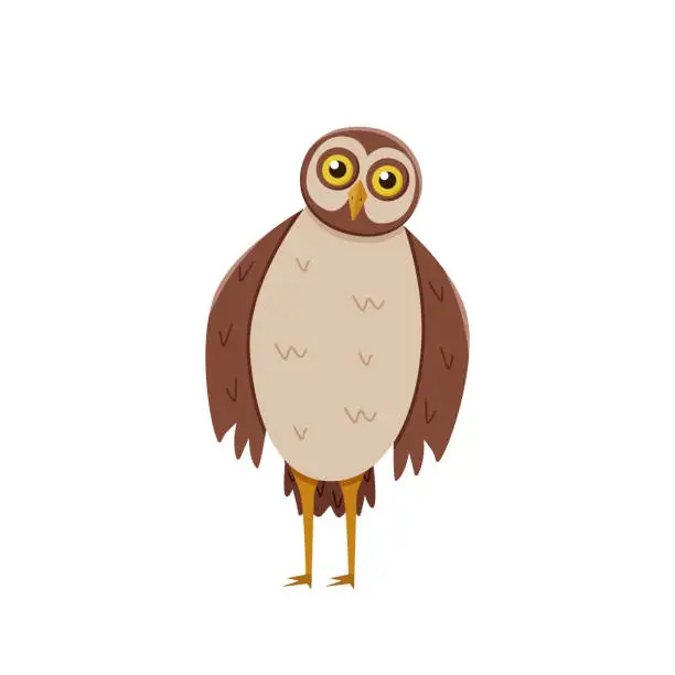 Vector illustration of Cute funny owl with tilted leaned head. Vector illustration of cartoon forest night bird.
