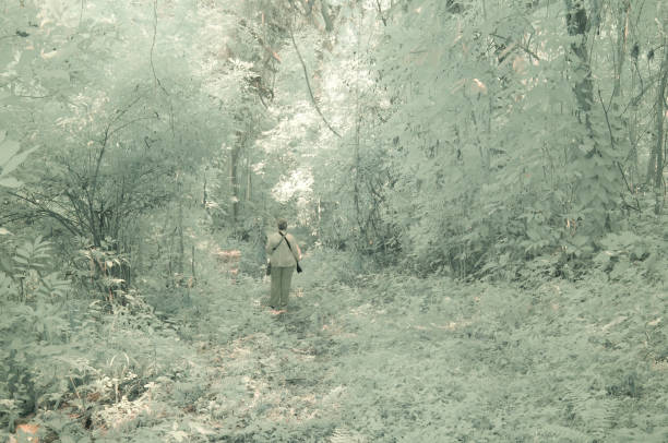 One senior female birders walking in the forest of Jamaica taken using IR camera