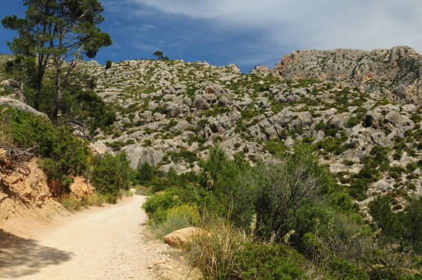 istock Trail To La Trapa Monastery Mallorca On A Wonderful Sunny Spring Day 2122920671