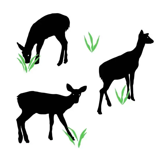 Vector illustration of Set of 3 Simple Deer Vector Silhouettes on White Background