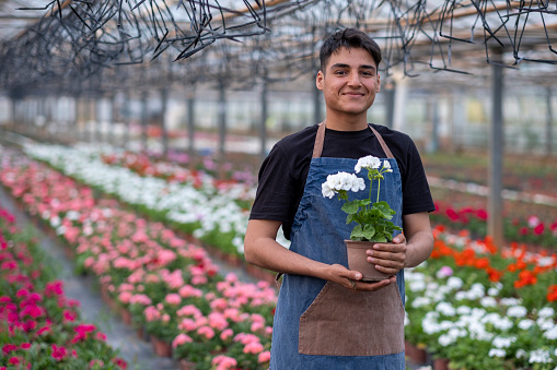 young man checking flowers in flower greenhouse