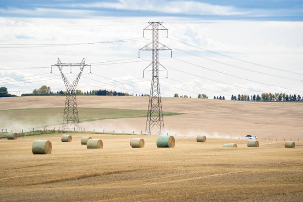 Hay Bales under Electrical Pylons