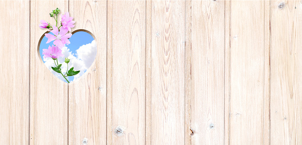 Heart-shaped hole in wooden boards, flower and blue sky with clouds. Heart shape hole in wood fence. Go green. Ecology, global ecological resource, eco and zero waste concept. Copy space for text