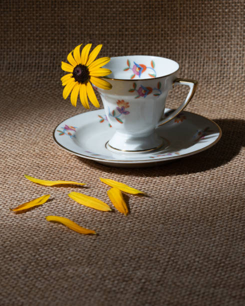 des marguerites jaunes et une tasse de café sur toile de jute - coffee sack photos et images de collection