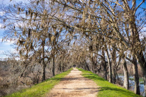 istock Sunny day at the Brazos Bend State Park 2123037116