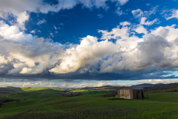 The fields of Tuscany in a beautiful spring day