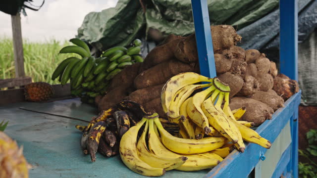 SLO MO Dolly Shot of Bananas and Taros For Sale on Market Stall