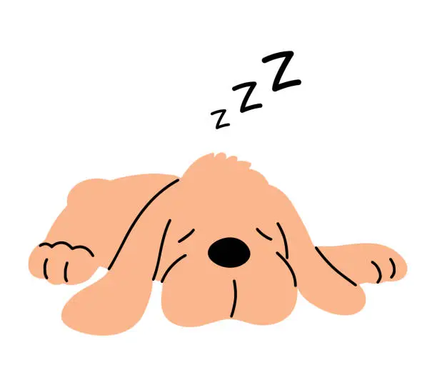 Vector illustration of A domestic dog sleeps