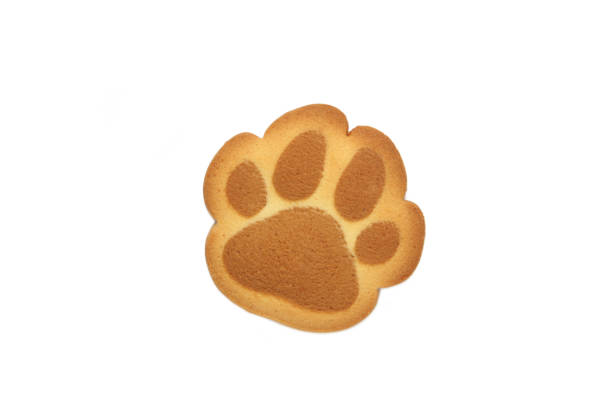 istock Self made cat paw cookies isolated on white background. 2123047077