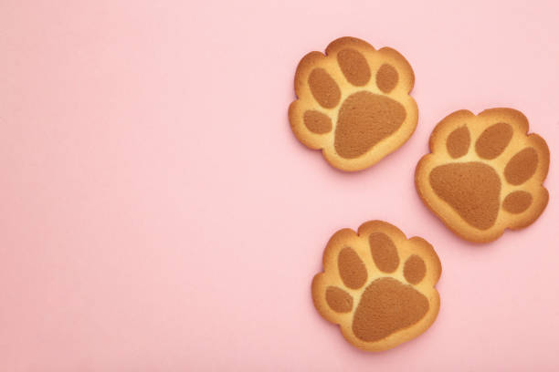 istock Self made cat paw cookies on pink background. 2123048150