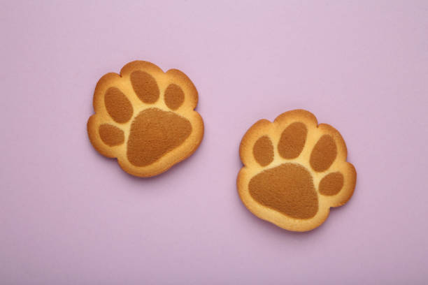 istock Self made cat paw cookies on purple background. 2123048670