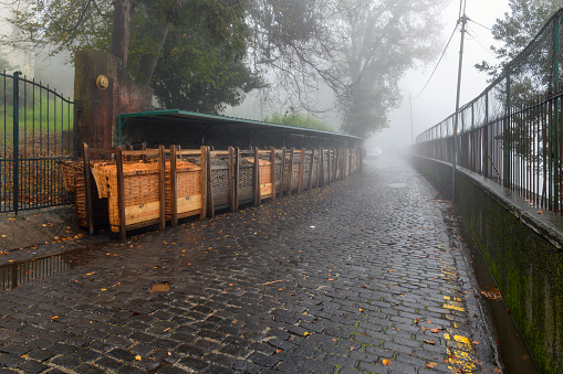 Unused wicker toboggan sledge lie in rows against a wall along the wet cobblestone streets on a rainy, foggy day in the Monte District of Funchal, Madeira, Canary Islands.