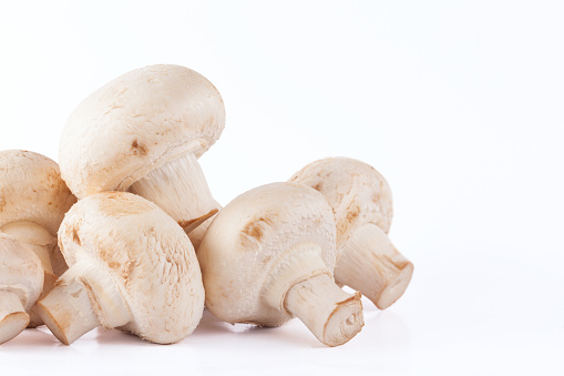 Raw mushrooms champignons set on white background