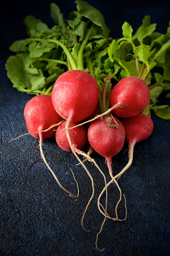 Close up of some red radishes freshly picked on a slate countertop