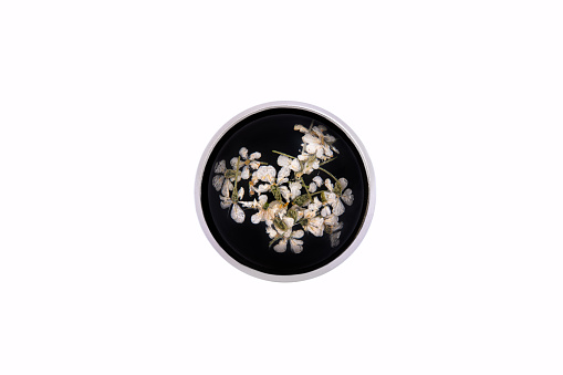 Black Resin Ring with Real Flower Preserved Inside, Silver and Balck jewellery Concept