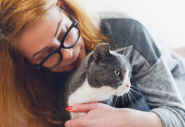 istock Young woman pet sitting two cats at home 2123143784