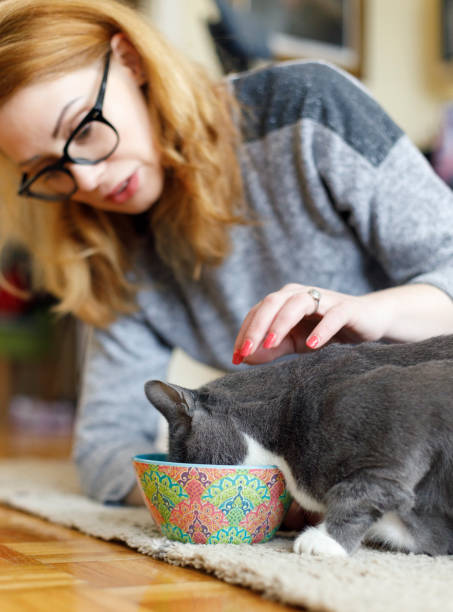 istock Young woman pet sitting two cats at home 2123144292