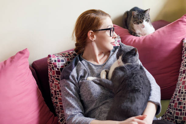 istock Young woman pet sitting two cats at home 2123147920