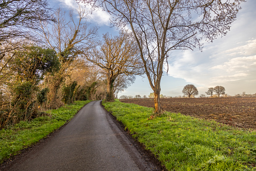A country road running alongside farmland in Sussex